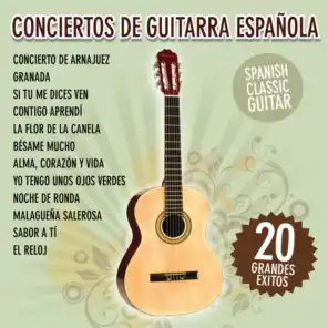 Conciertos de Guitarra Española - 20 Grandes Éxitos