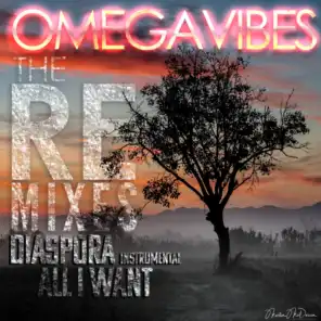 Diaspora / All I Want: The Remixes