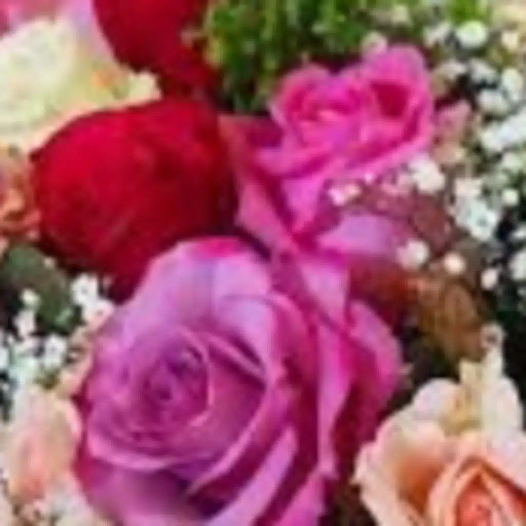 The Durian Fruit Song