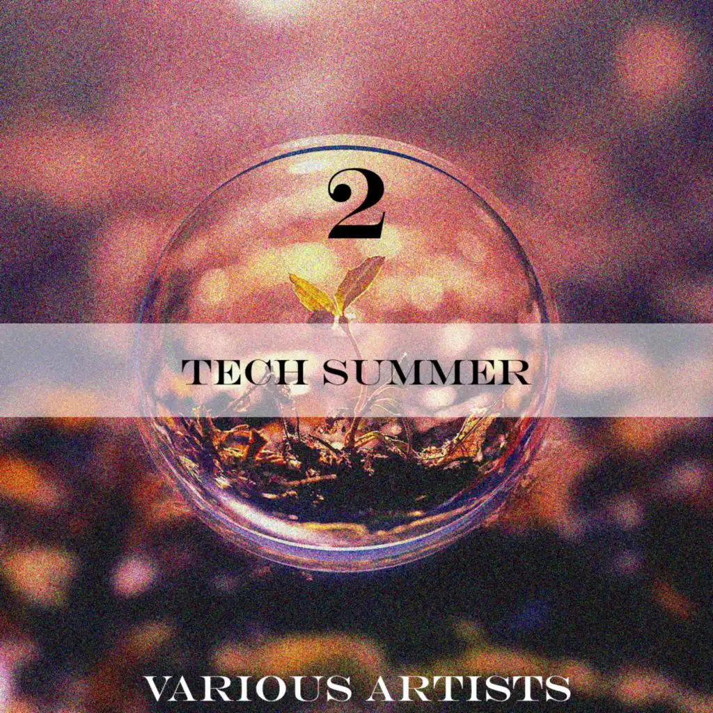 Tech Summer 2