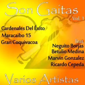 Son Gaitas, Vol. 1