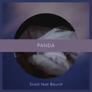 Panda (feat. Baund)