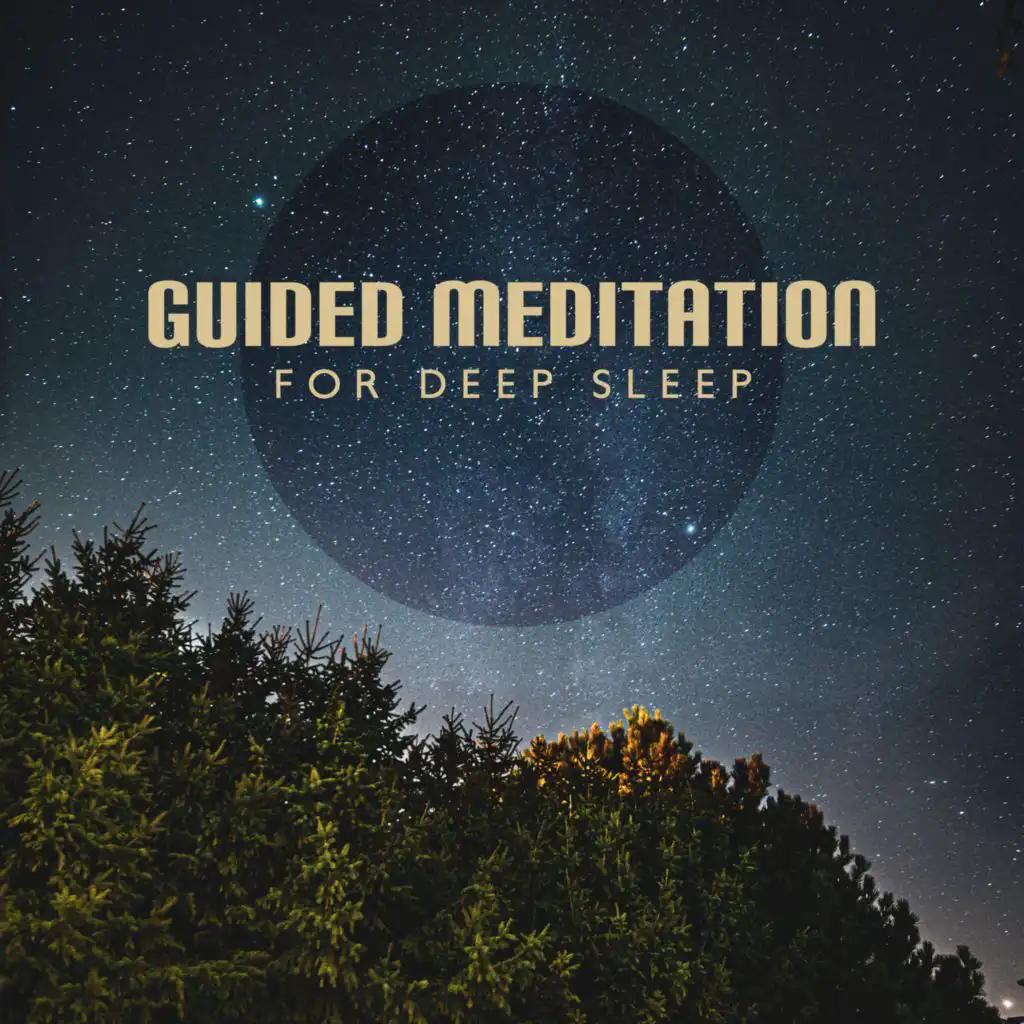 Guided Meditation for Deep Sleep and Relaxation (Take Care of Wildlife (Breathing Exercises for Relaxation))