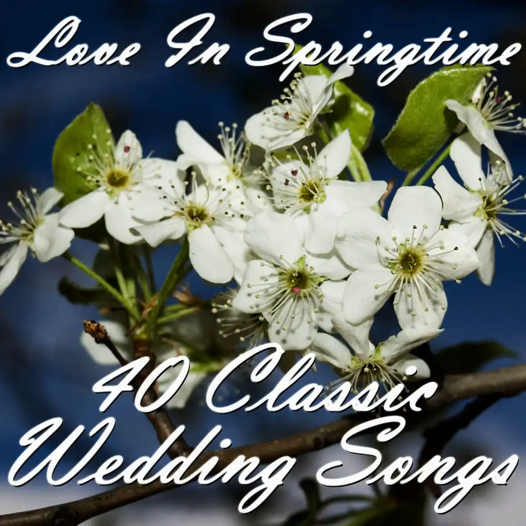 The Wedding Song