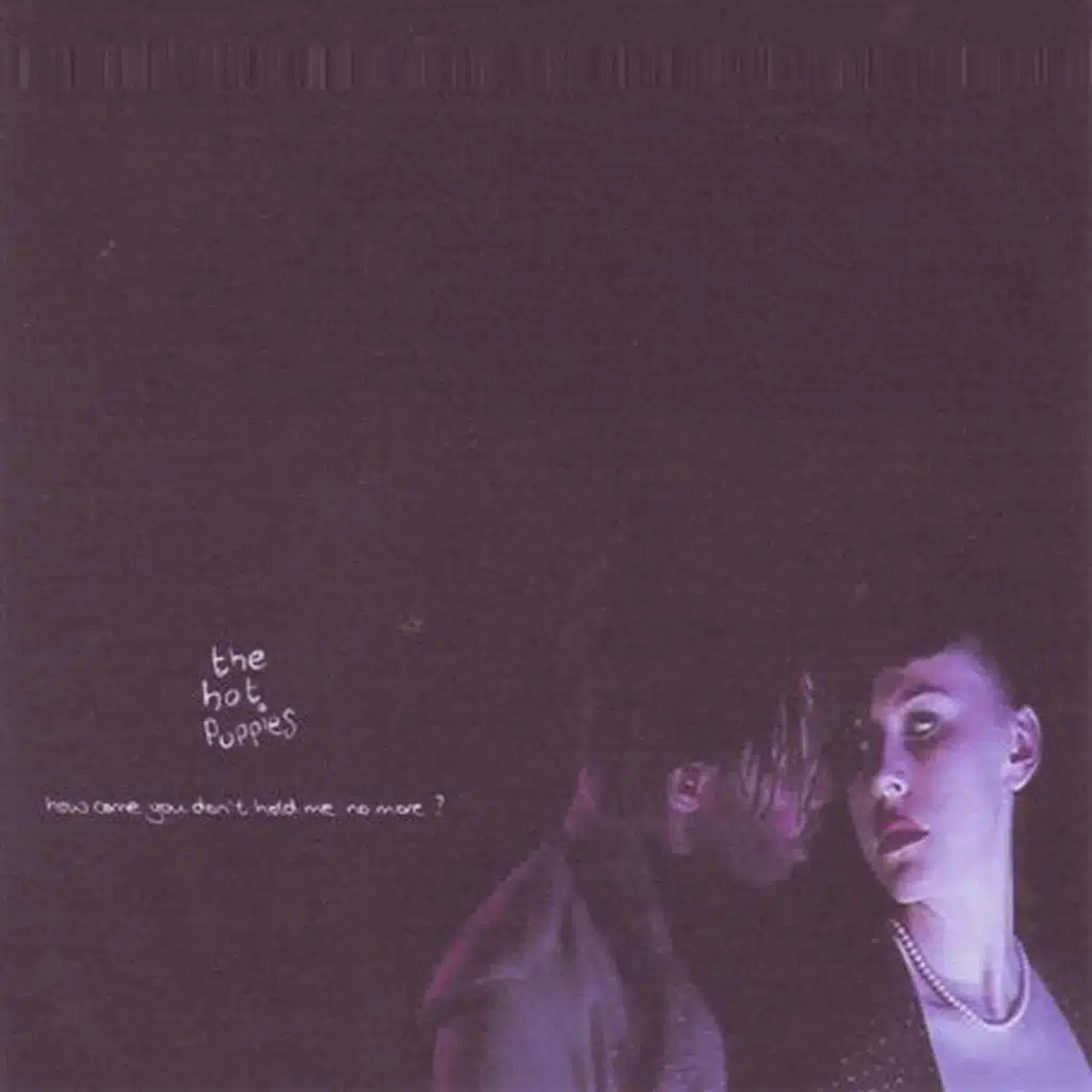 How Come You Don't Hold Me No More / Flies On The Ceiling