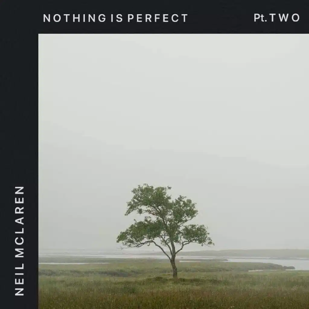 Nothing Is Perfect, Pt. 2