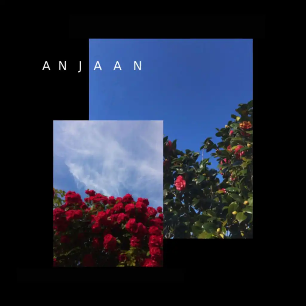 Anjaan (feat. Nabeel Akbar & Talhah Yunus)