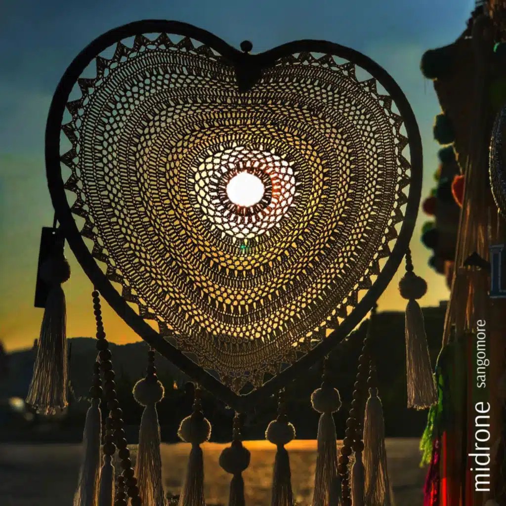 Embrace Of The Black Widow