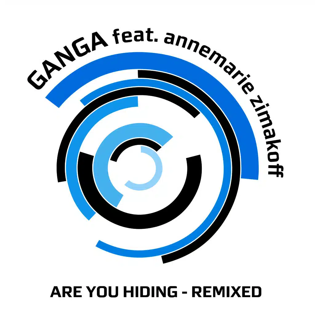 Are You Hiding (Remixed)