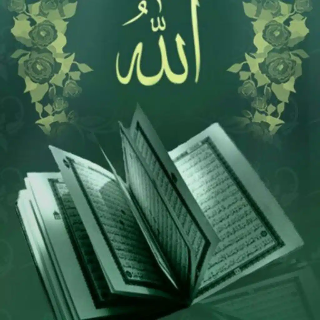 جئنا لنشر الخير