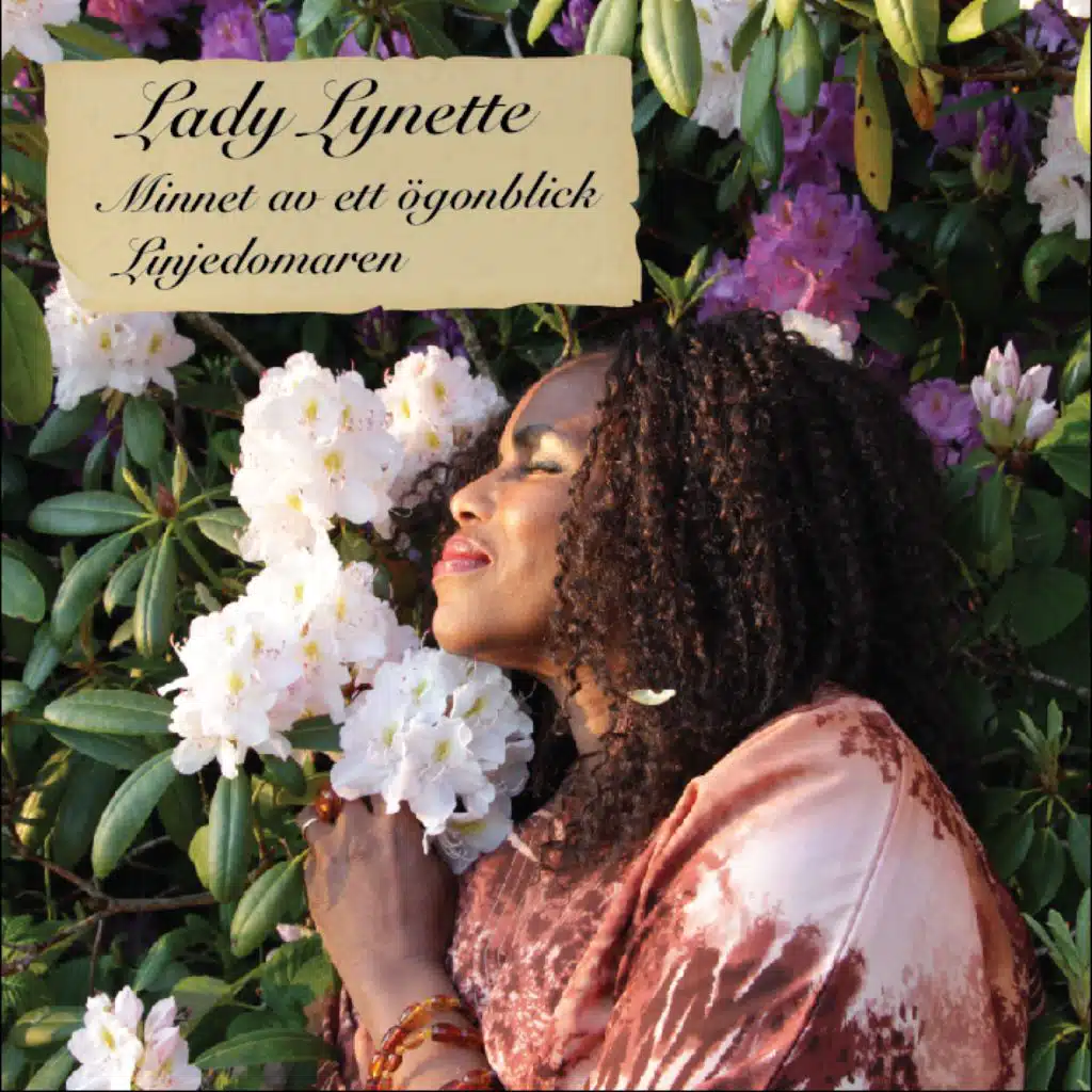 Minnet av ett ögonblick / Linjedomaren