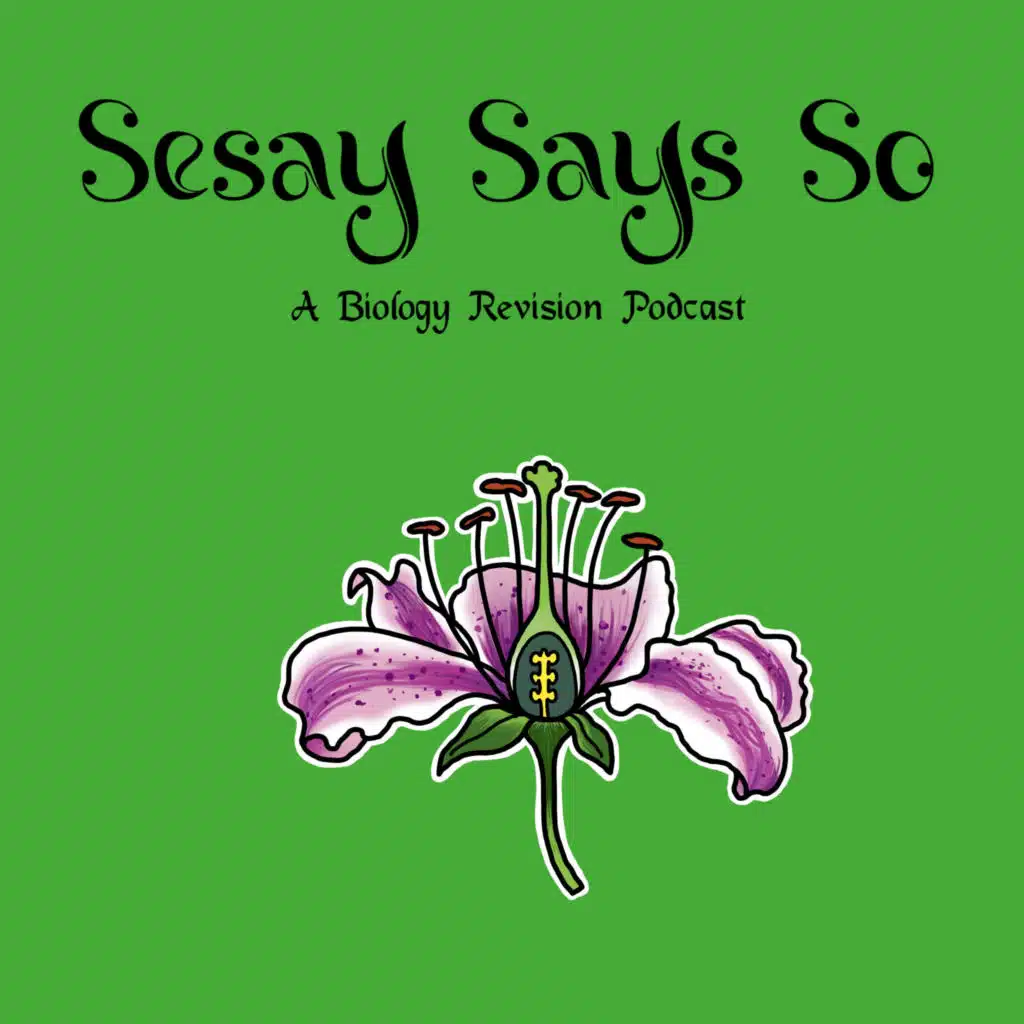 21: Reproduction Part 1 (IGCSE/GCSE)