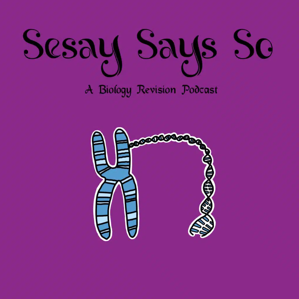 23: Inheritance Part 1 (IGCSE/GCSE)