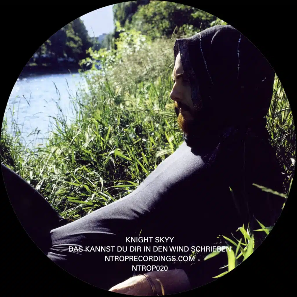 Das Kannst Du Dir In Den Wind Schreiben (feat. Joalz)