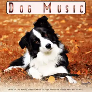 Dog Music: Music for Dog Anxiety, Sleeping Music for Dogs and Nature Sounds While You Are Away