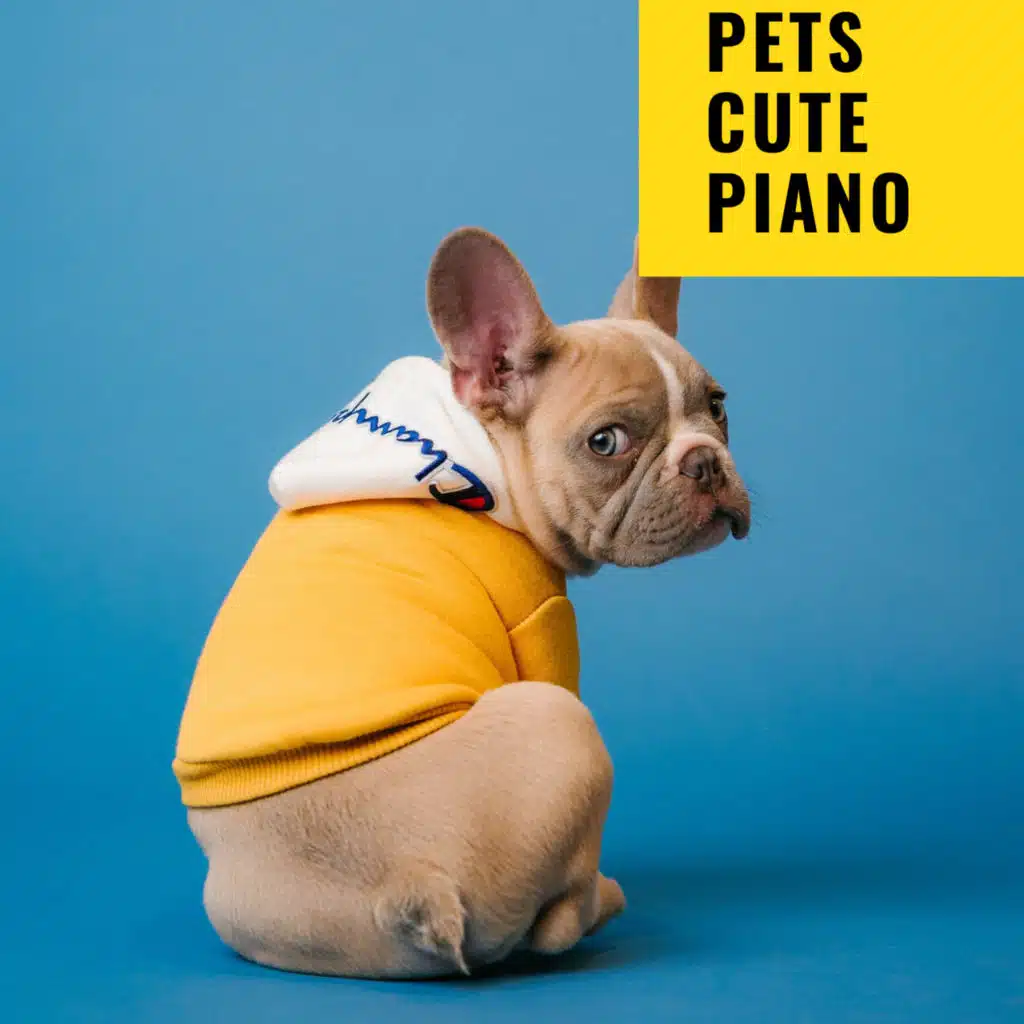Pets Cute Piano