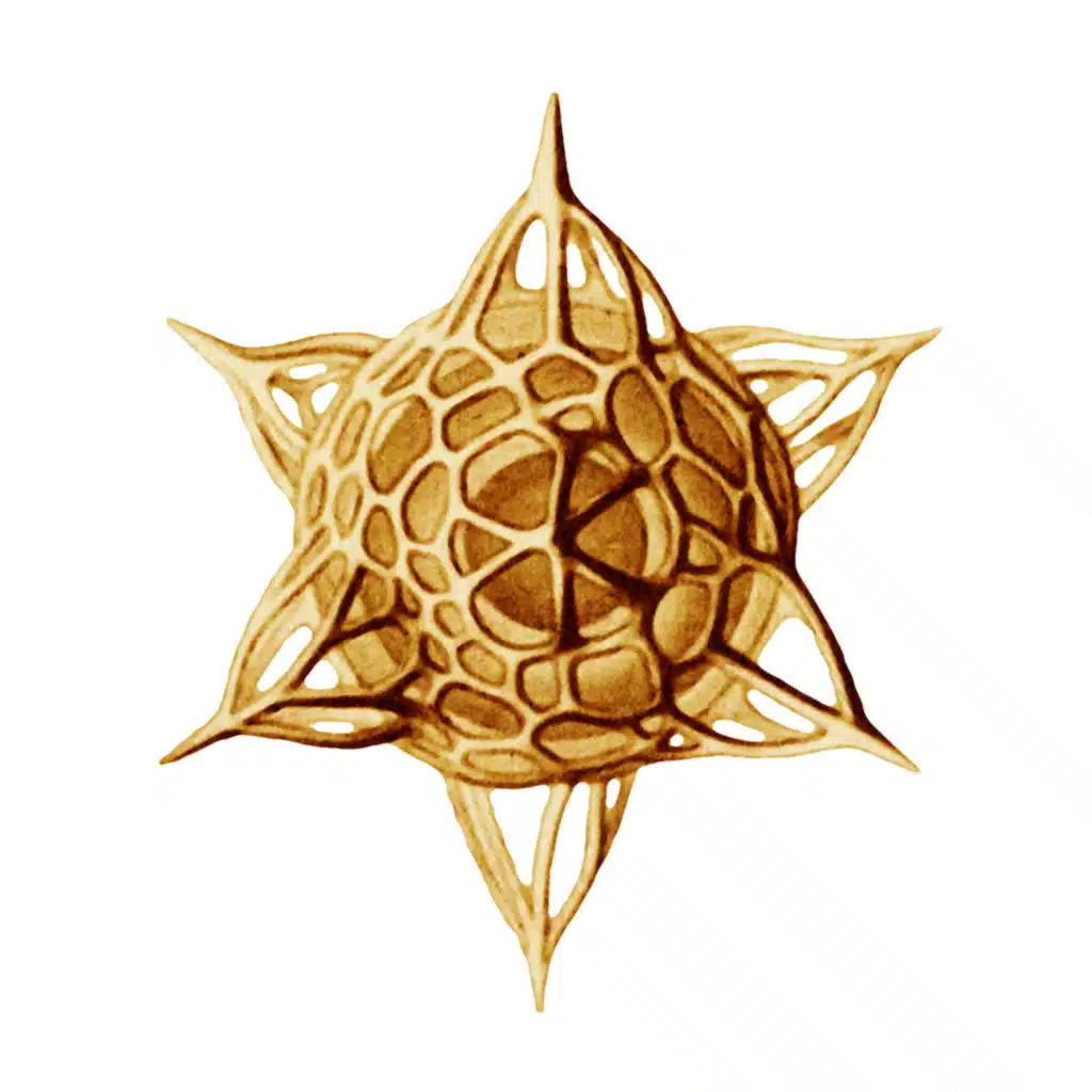 Politrix Single (feat. Prince Jamo & Paolo Baldini)