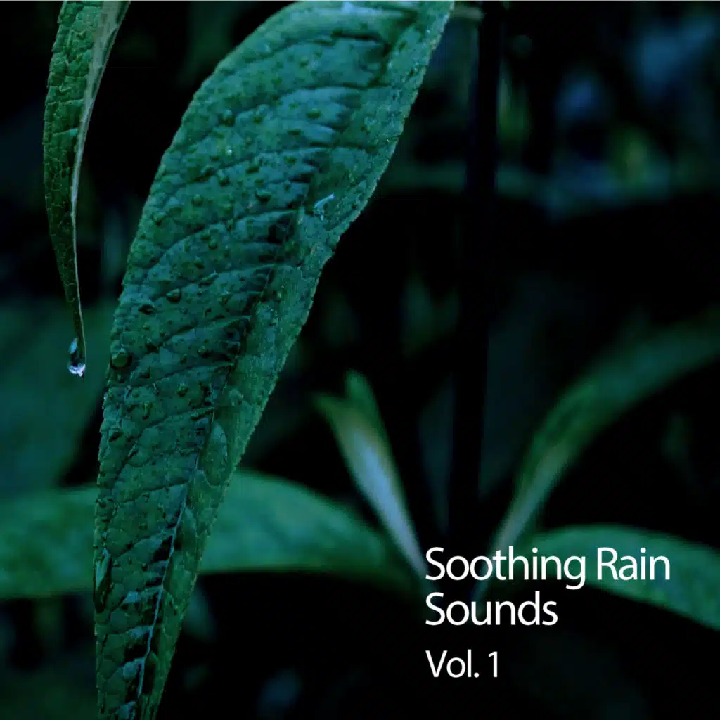 Rain Sounds (Thunderstorm,Thunderstorm Sleep,Zen Music Garden)
