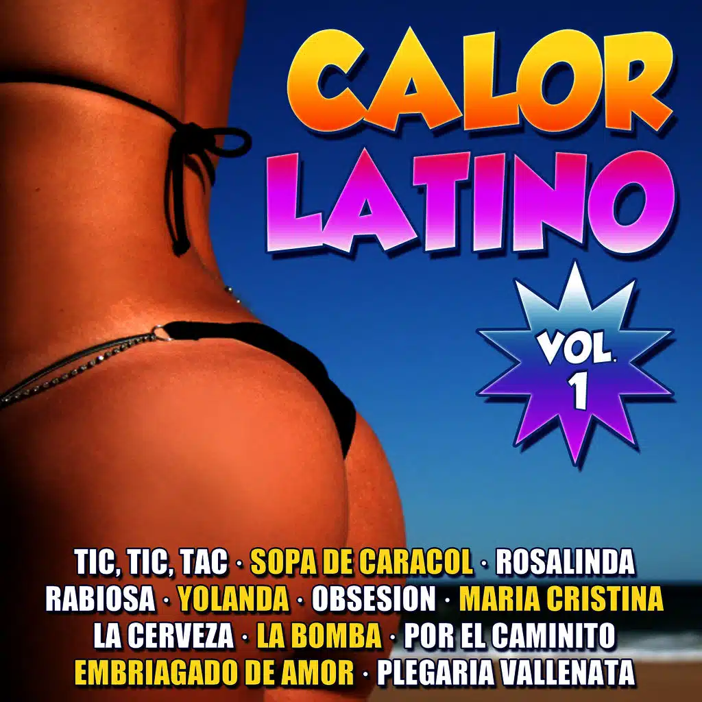 Calor Latino Vol.1
