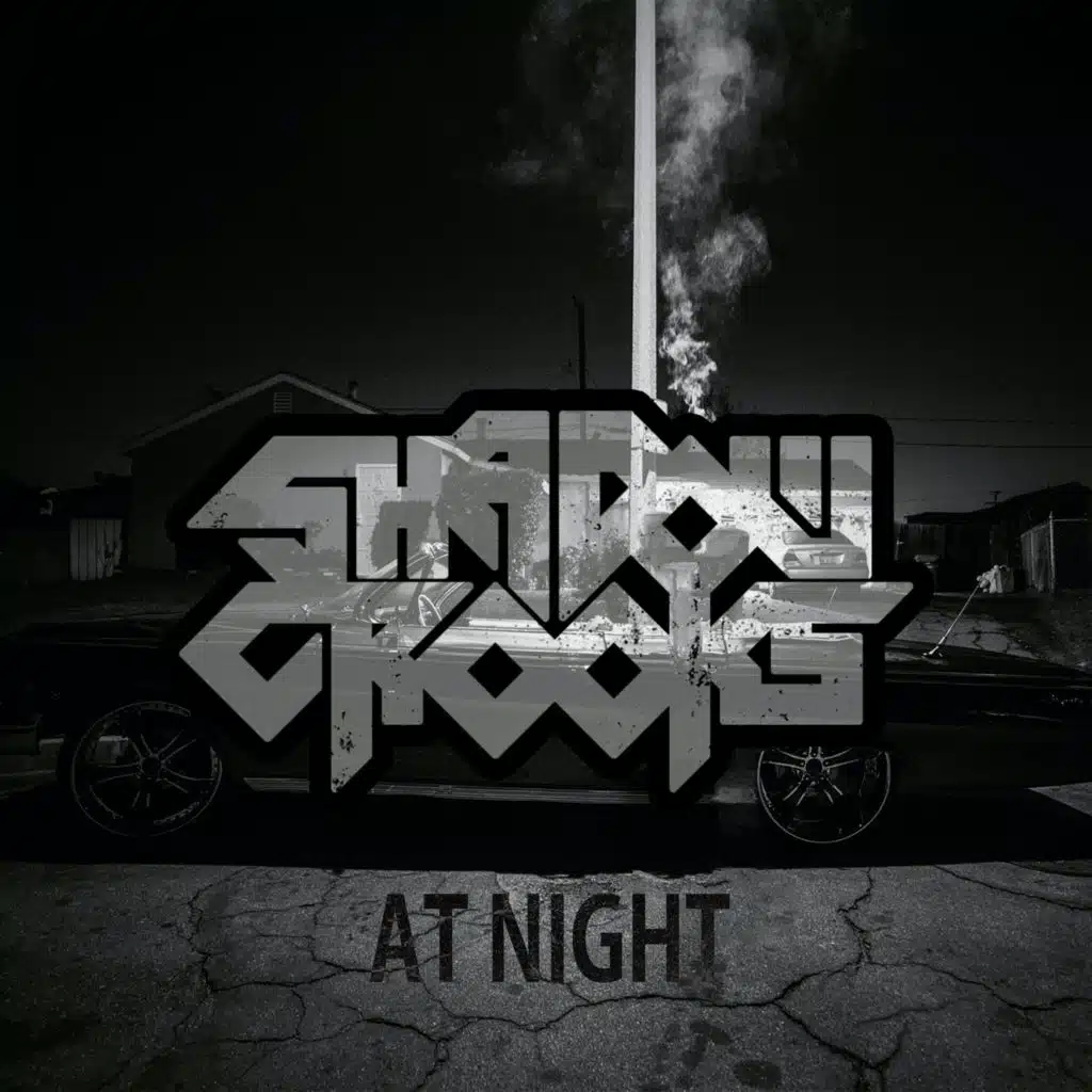 Shadow Crooks