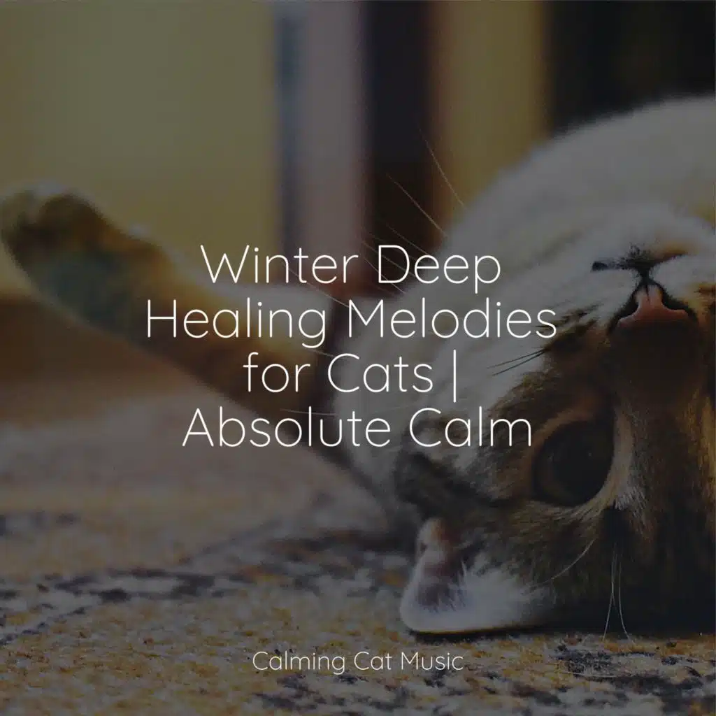 Music for Pets Library, Music For Cats TA, Jazz Music Therapy For Cats