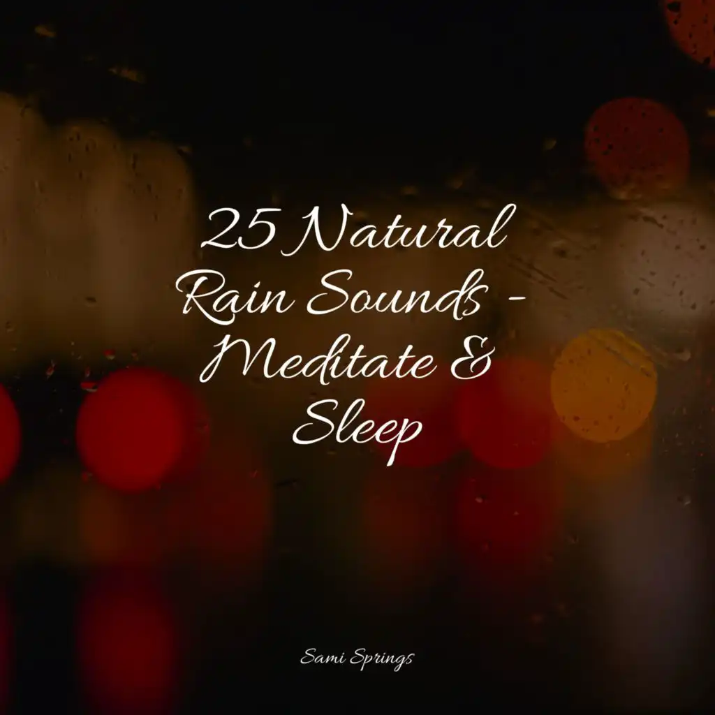 25 Natural Rain Sounds Meditate & Sleep by Rain Recorders, Ocean