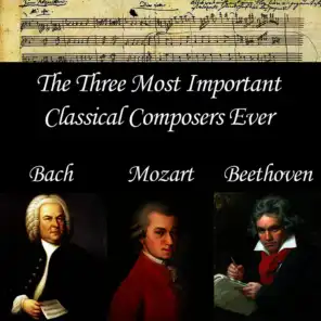 Best Classical Study Music Playlist