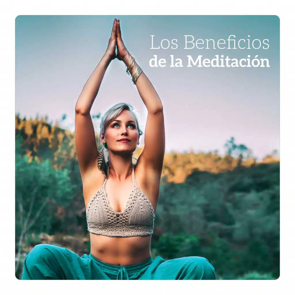 Buda Meditation Zona