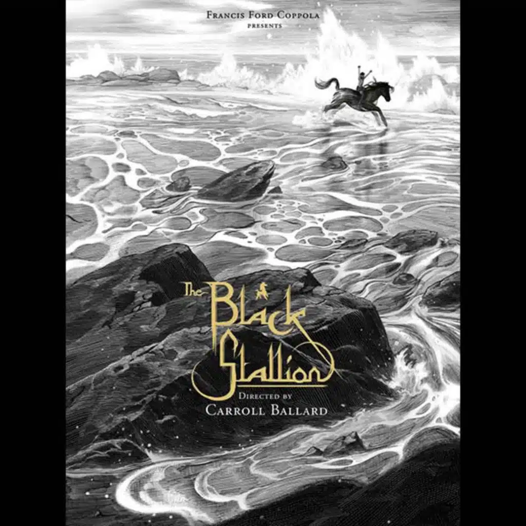 47 The Black Stallion