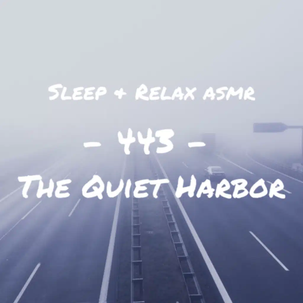 The Quiet Harbor