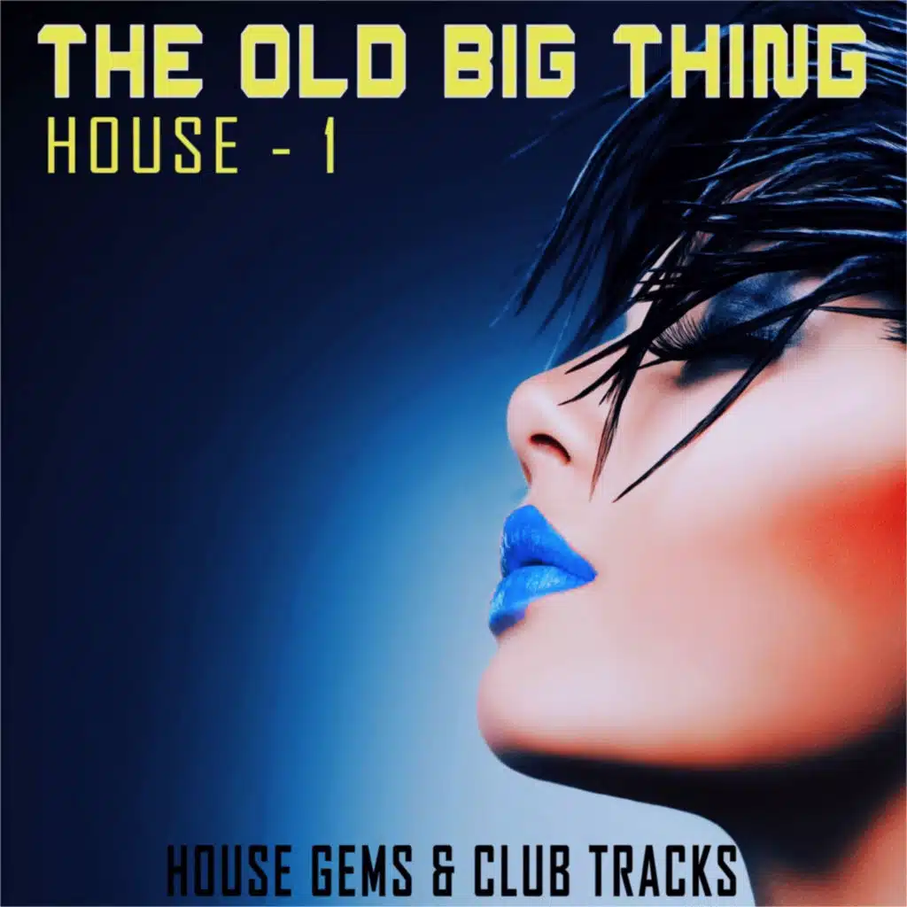 The Old Big Thing: House 1 (House Gems & Club Tracks)