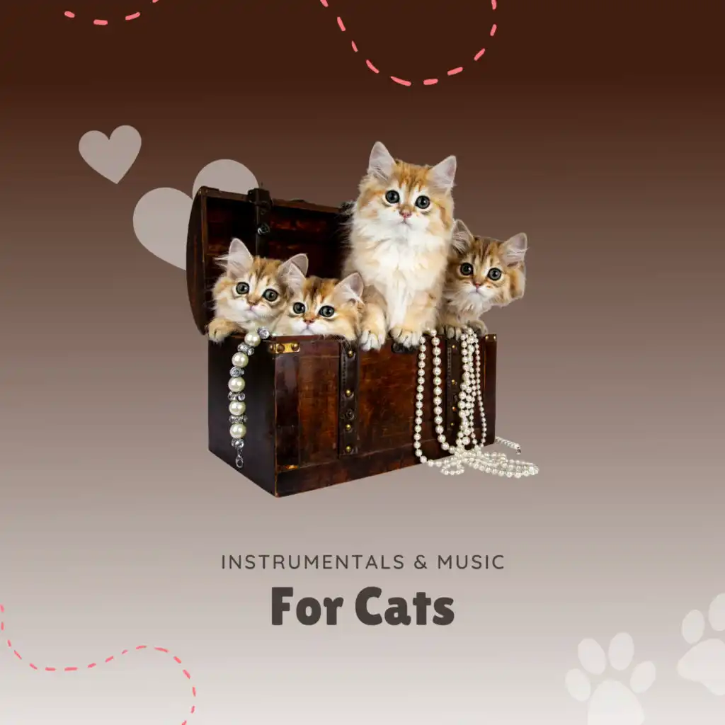 Instrumentals & Music For Cats