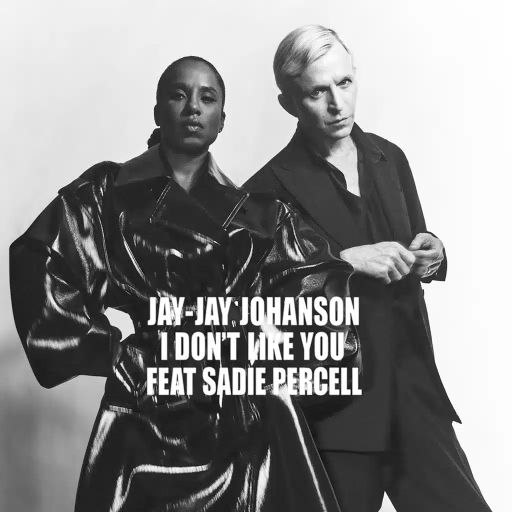 I Don't Like You (Erik Jansson Remix)