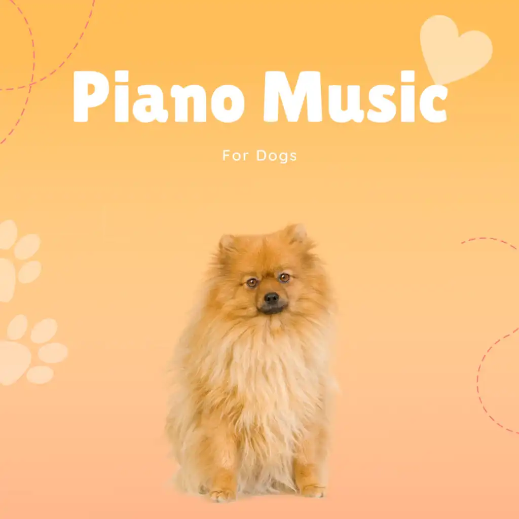 Piano Music For Dogs