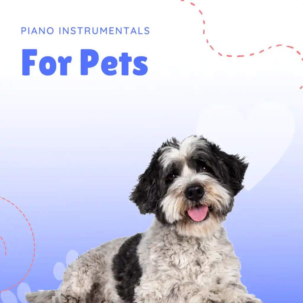 Piano Instrumentals for Pets