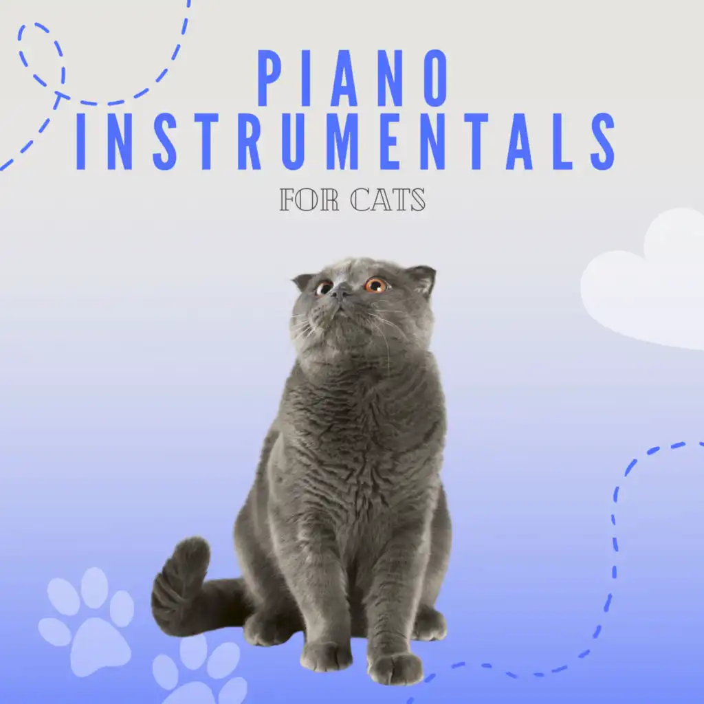 Piano Instrumentals For Cats