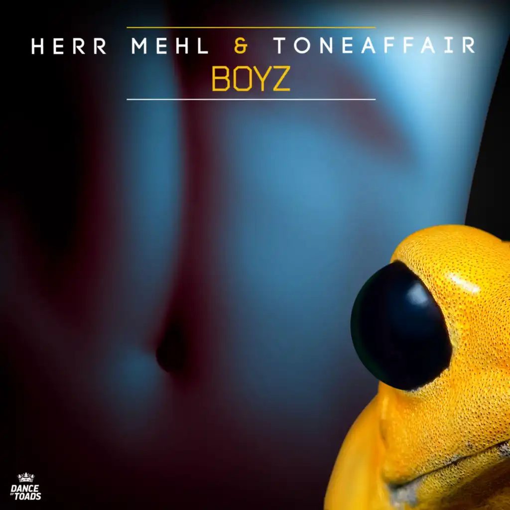 Herr Mehl & Toneaffair