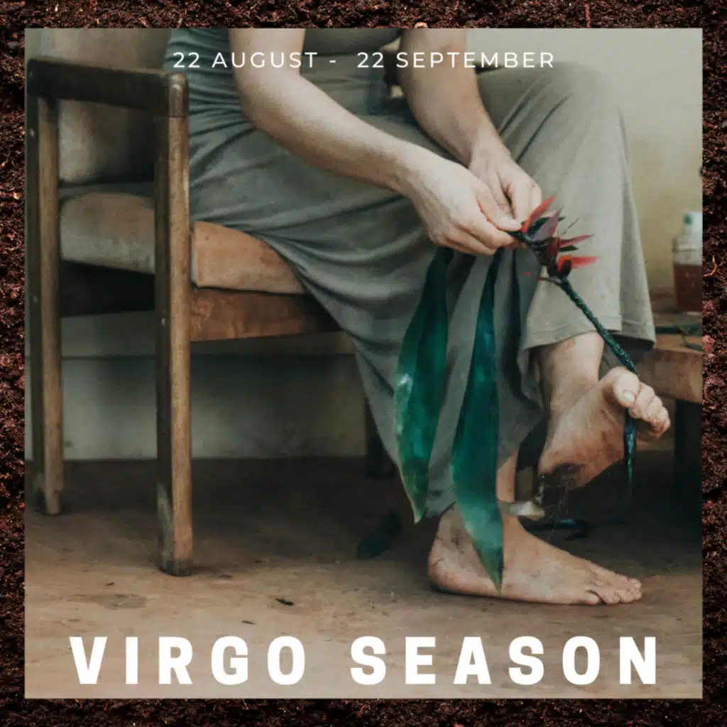 PISCES Horoscope for Virgo Season (August 22-September 22, 2021)