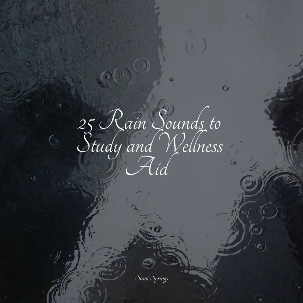 25 Rain Sounds to Study and Wellness Aid