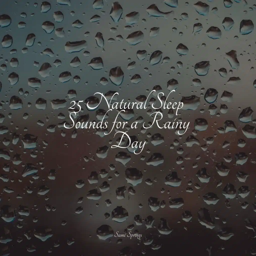 25 Natural Sleep Sounds for a Rainy Day