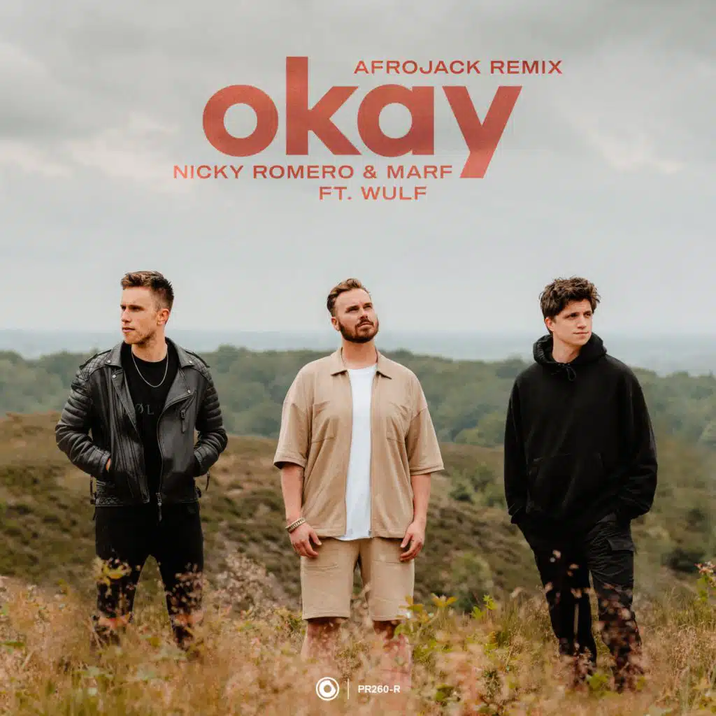 Okay (Afrojack Remix) [feat. Wulf]