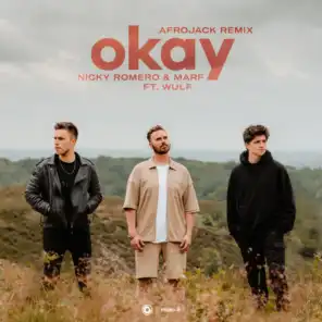 Okay (Afrojack Remix) [feat. Wulf]