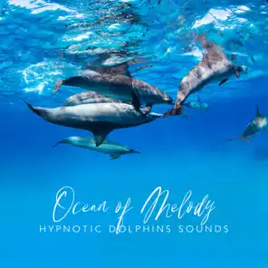 Ocean of Melody: Hypnotic Dolphins Sounds