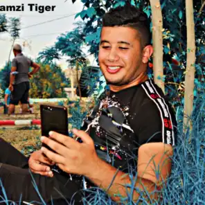 Ramzi Tiger (Kouktal Staifi)