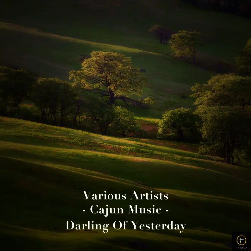 Joe Werner & The Ramblers