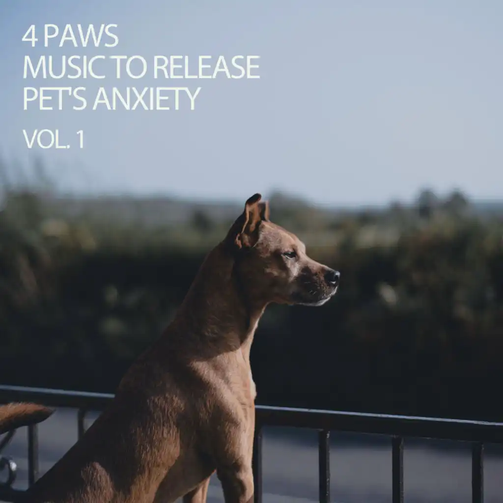 4 Paws Music To Release Pet's Anxiety Vol. 1