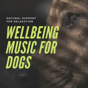 Wellbeing Music for Dogs - Natural Support for Relaxation