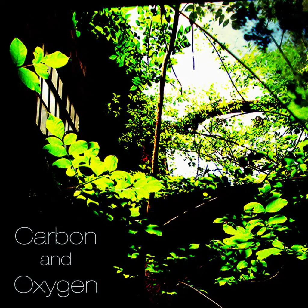 Carbon and Oxygen