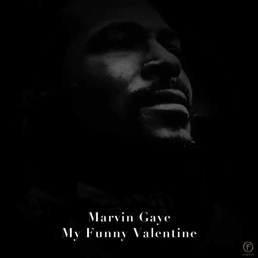 Marvin Gaye, My Funny Valentine