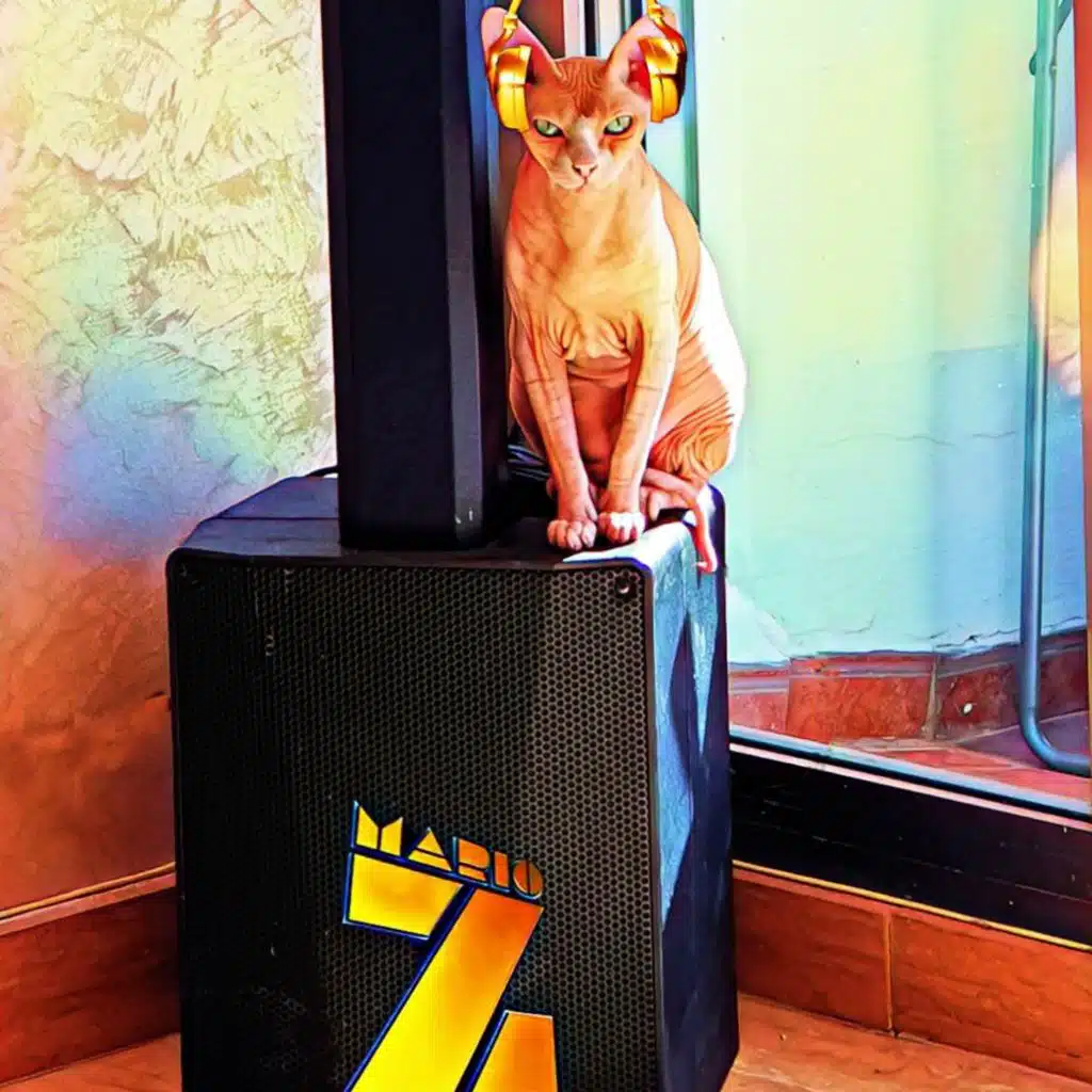 Mario Z Feat.Dazel "Pump It Up" (rework 2k20)